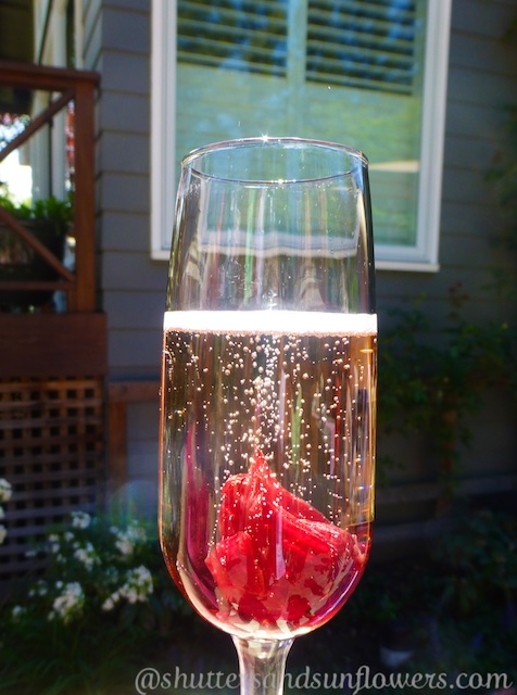Hibiscus enthused champagne at a Californian bridal shower