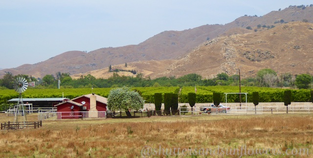 A Californian Central Valley Farmstead