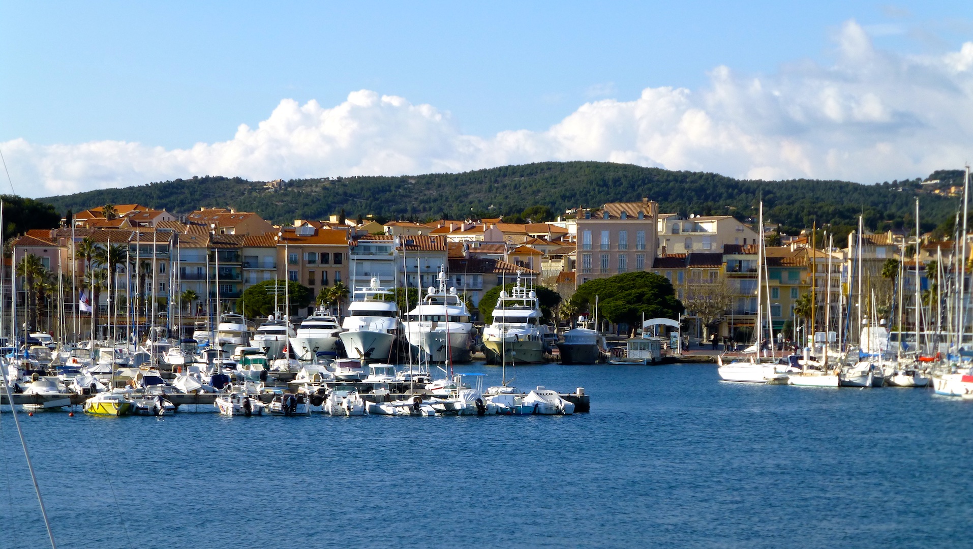 Bandol, Var, Provence, France