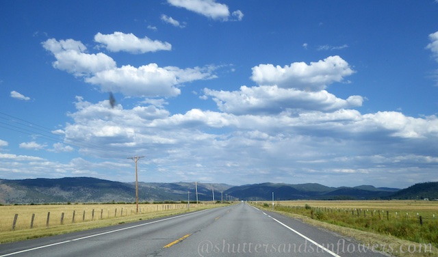 The road through the Sierra Plains on highway 49