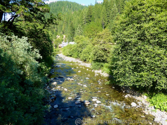 The Yuba River on Route 49, Northern California