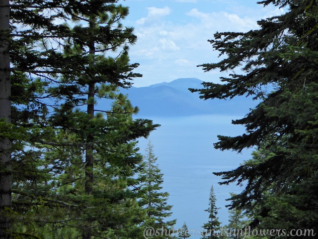 Views of Lake Tahoe from the Tahoe Rim Trail