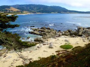 Carmel-by-the-Sea, California, USA