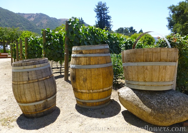 Carmel Valley wineries