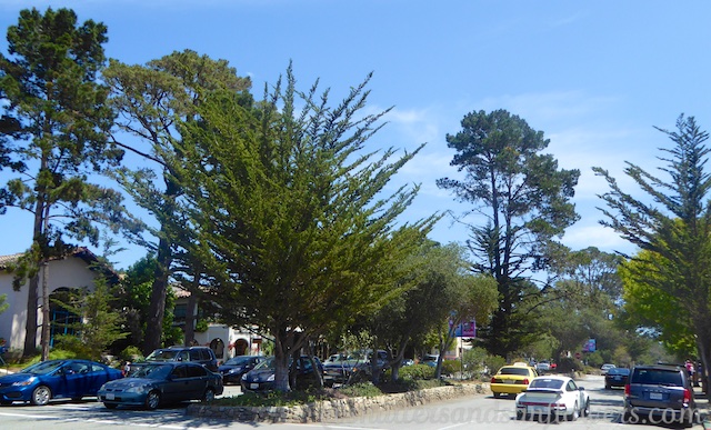 Ocean Avenue, Carmel, California