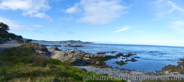 Scenic Drive, Carmel, California