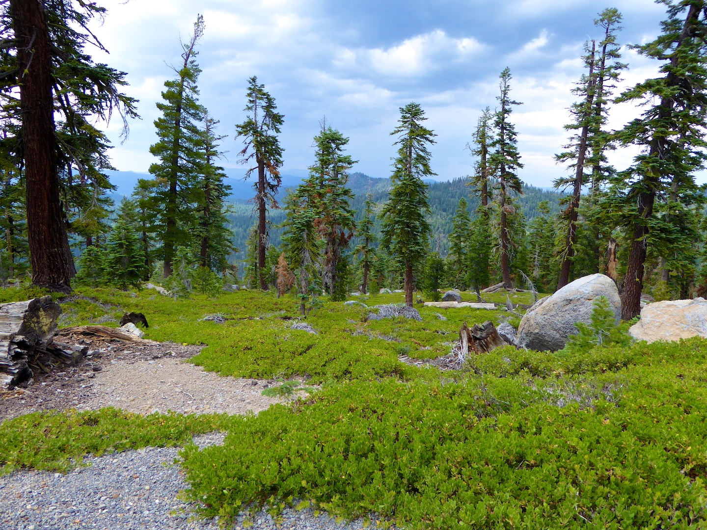 Walking on the Tahoe Rim Trail, Lake Tahoe, California, USA