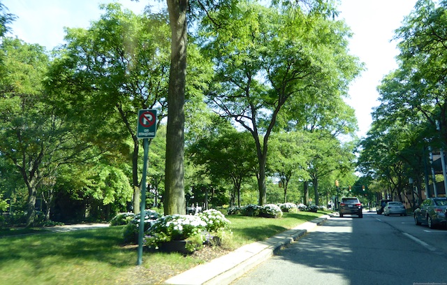 Street in Birmingham, Michigan