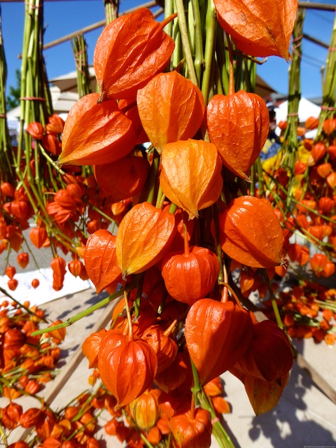 Chinese lanterns