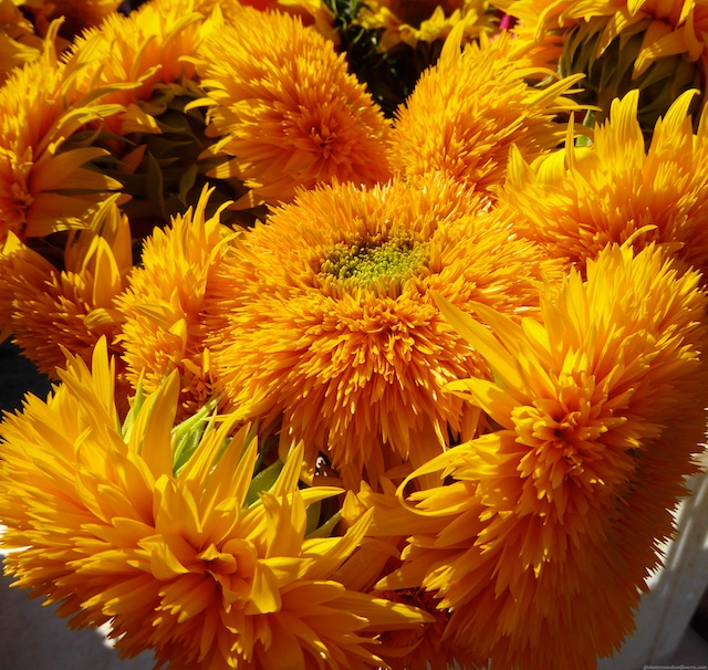 Sunflowers Food at a Michigan Farmers Market