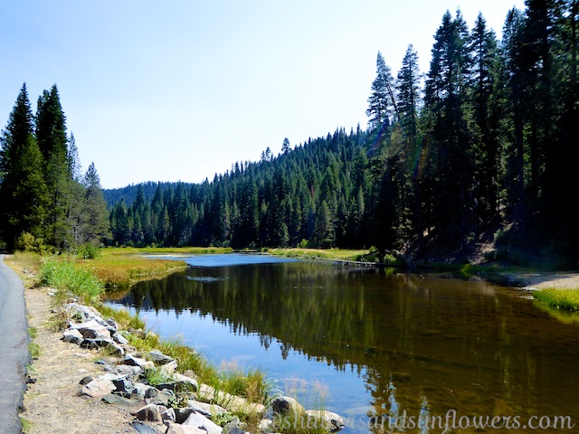 By the Truckee River, Lake Tahoe 