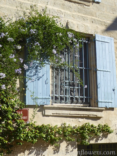 Open Provencal shutters in Uzes, Languedoc Roussillon