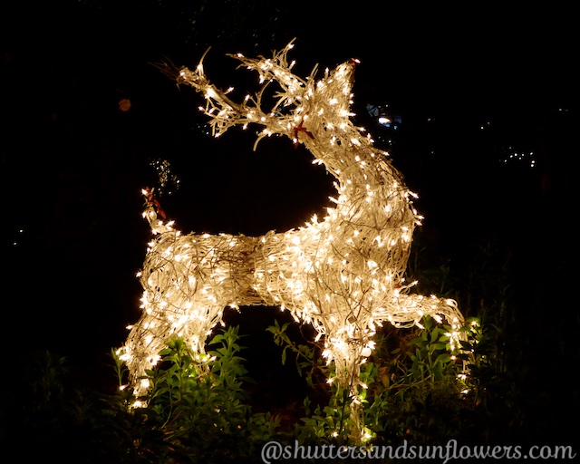 Christmas reindeer Carmel-by-the-sea, California