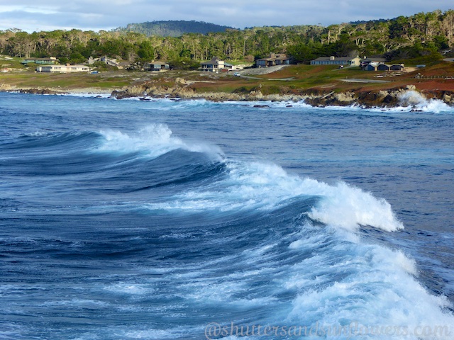 17 Mile Drive, California in December