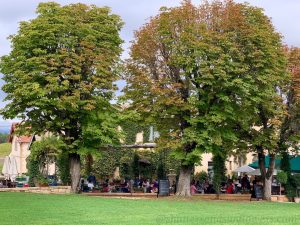 La Terrace at Chateau La Coste Le Puy-Sainte-Réparade, Luberon, Provence, France