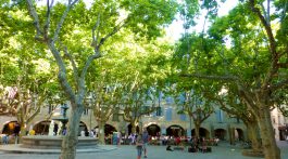 Plan your stay in Lourmarin visit Uzes, Languedoc Roussillon, France