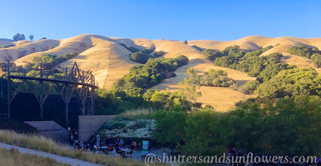 Cal Shakes Orinda theater, Orinda, California