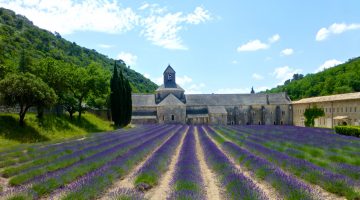 Plan your stay in Lourmarin visit L'Abbaye Notre-Dame de Sénanque, Gordes, Luberon, Provence