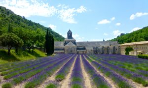 L'Abbaye Notre-Dame de Sénanque, Gordes, Luberon, Provence