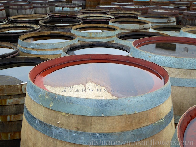 Whisky barrels at Ardbeg Distillery, Islay
