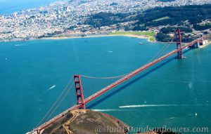 San Francisco Travel Guide, Marin