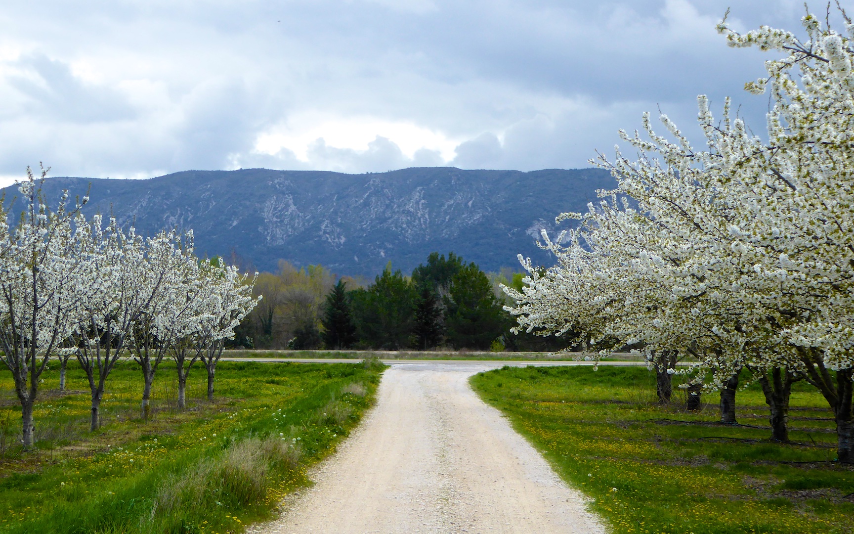 Last night I dreamt, going to Lourmarin, Luberon, Provence, France