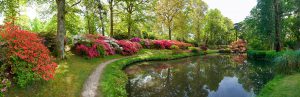 The Rothschild's Exbury Gardens