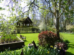 Springtime in England in the garden