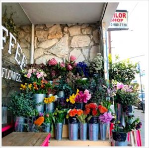 Flowers at the Flower Boy project, Los Angeles