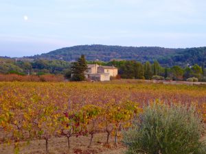 Dusk in autumn in the Luberon, Vaulcuse, Provence