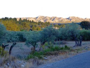 Les Alpilles et Plaine de la Crau, Bouches-du-Rhône Provence, France