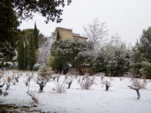 December snow storm in Lourmarin, Luberon, Vaucluse, Provence, France