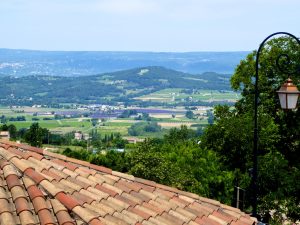 Stunning views of lavender in the Luberon, Provence