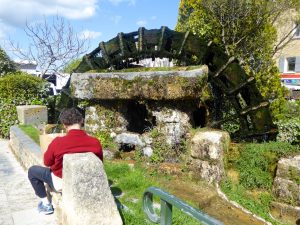 By the water mill in L'Isle-sur-la-Sorgue, Luberon, Vaucluse, Provence, France
