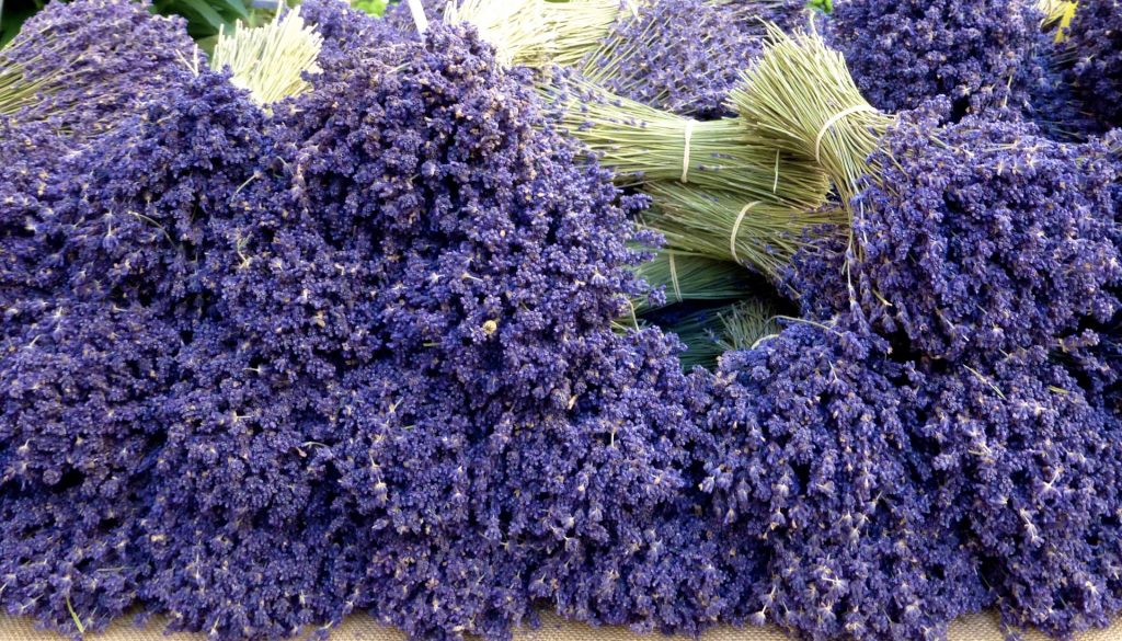 Lavender for sale at The Lourmarin market, Lourmarin, Provence, France
