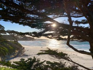 Finding joy