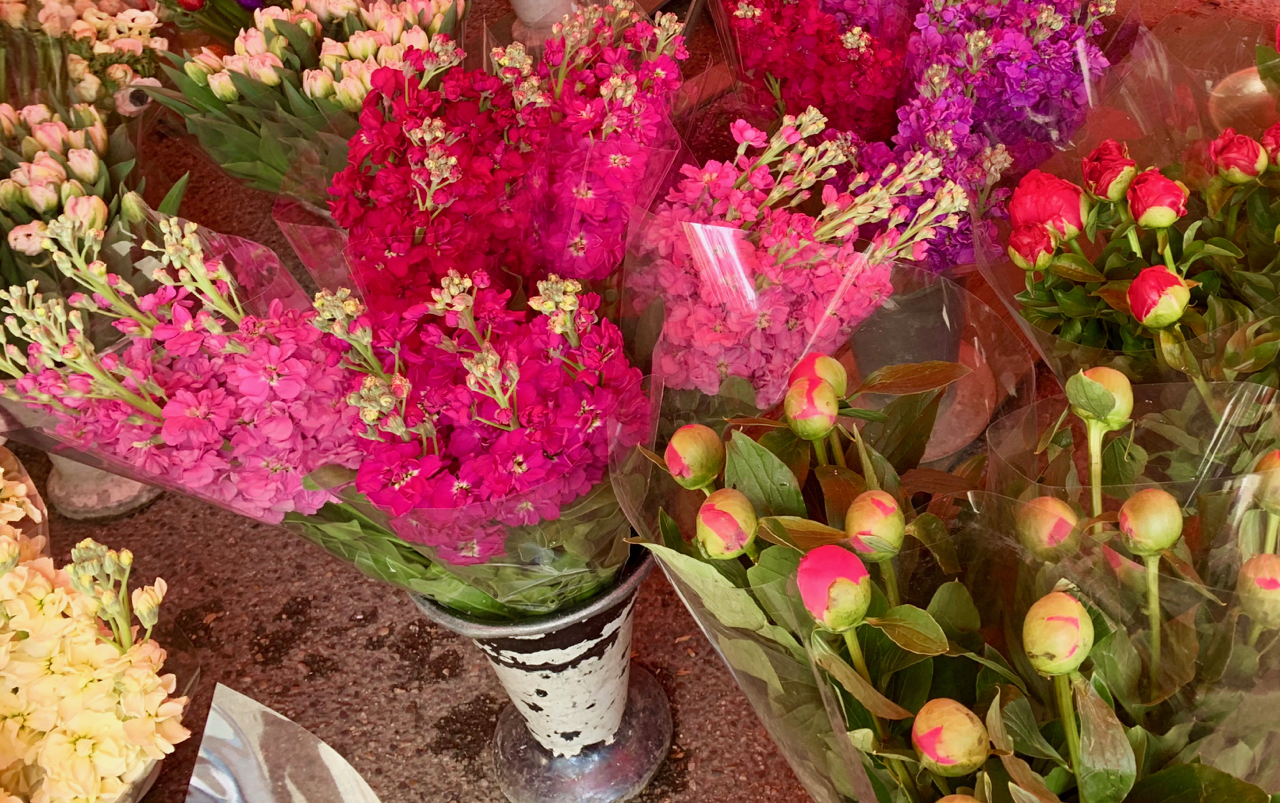 Flowers in the Lourmarin market
