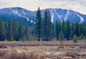 The slopes of Norhtstar Lake Tahoe, California