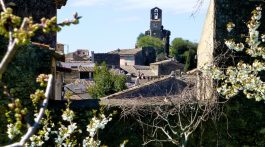 Spring blossoms in Lourmarin
