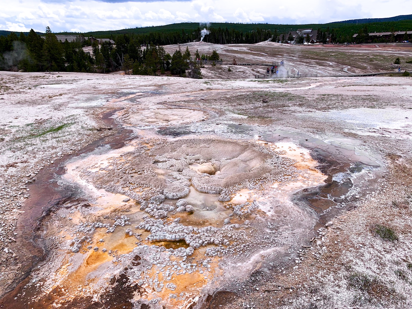 Anemone thermal pool at Upper Basin, Yellowstone National Park, USA