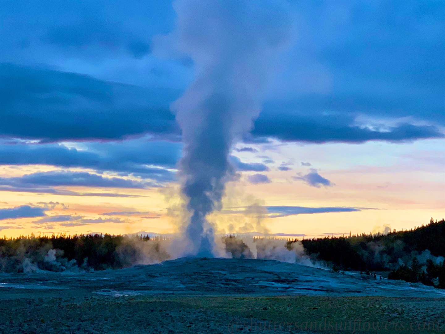 Old Faithful erupting at dusk in Yellowstone National Park, USA