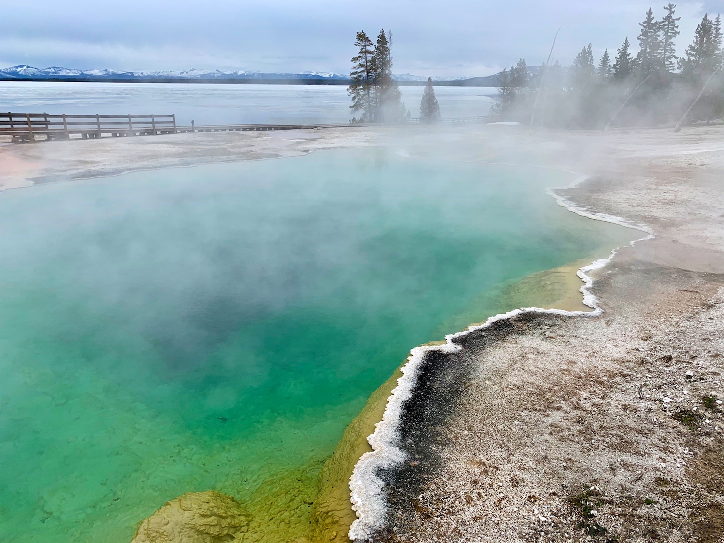 Geyser at West Thumb thermal area, by Yellowstone National Park, USA