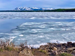 Lake Yellowstone partially frozen, Yellowstone National Park, USA