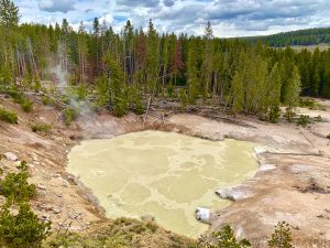 Mud pots by Sulphur Caldron, Yellowstone National Park, USA