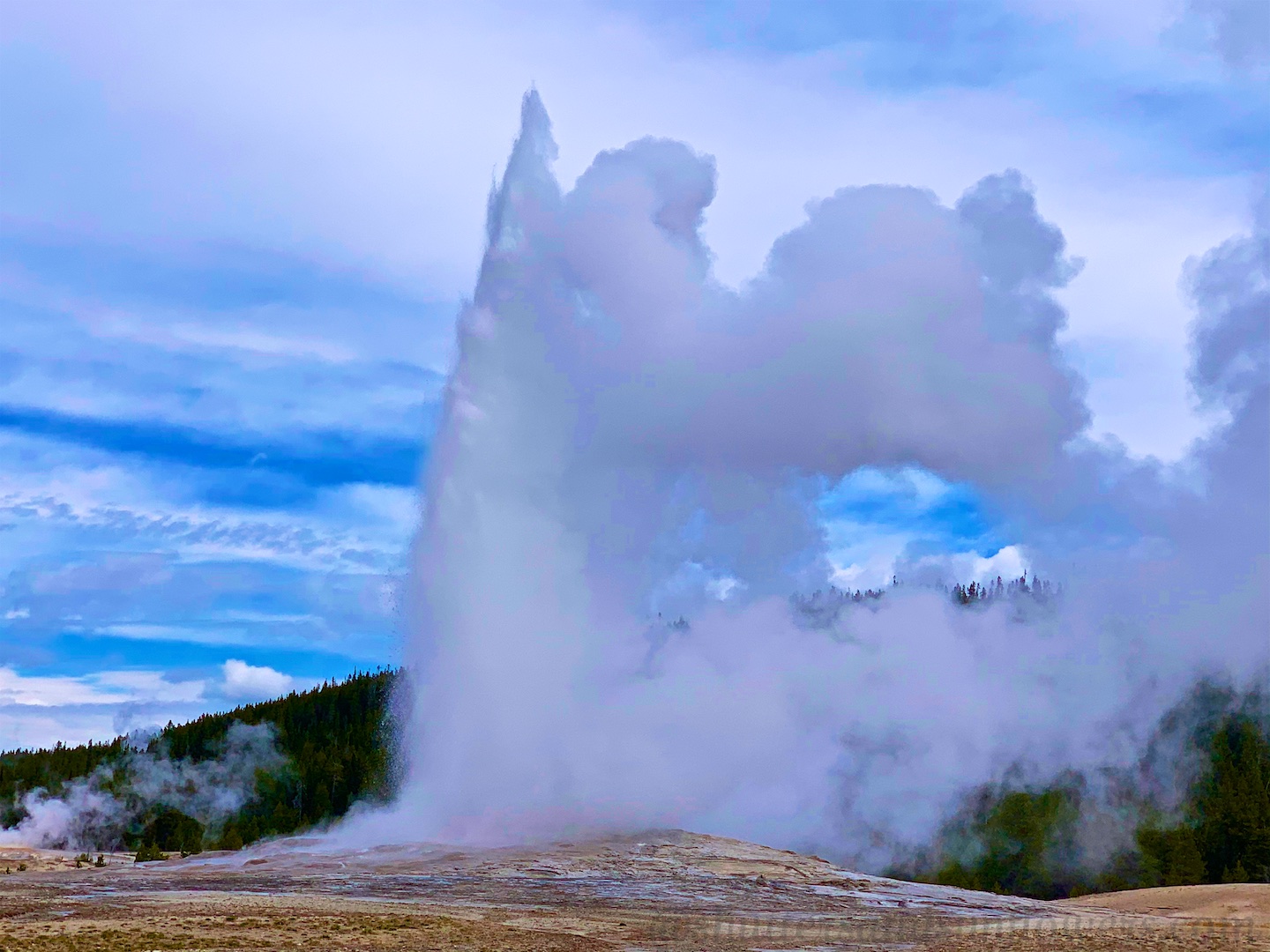 Old Faithful Geyser erupting at Yellowstone National Park