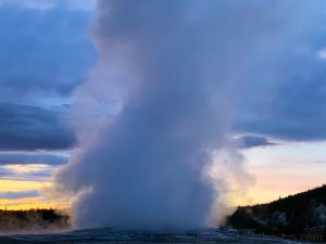 Old Faithful erupting at dusk