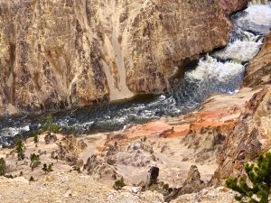 River at Grand Canyon of Yellowstone National Park, USA