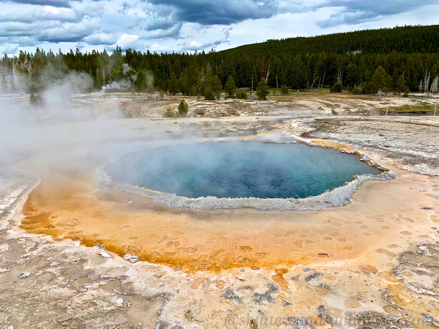 Crested pool at Upper Basin Yellowstone National Park, USA
