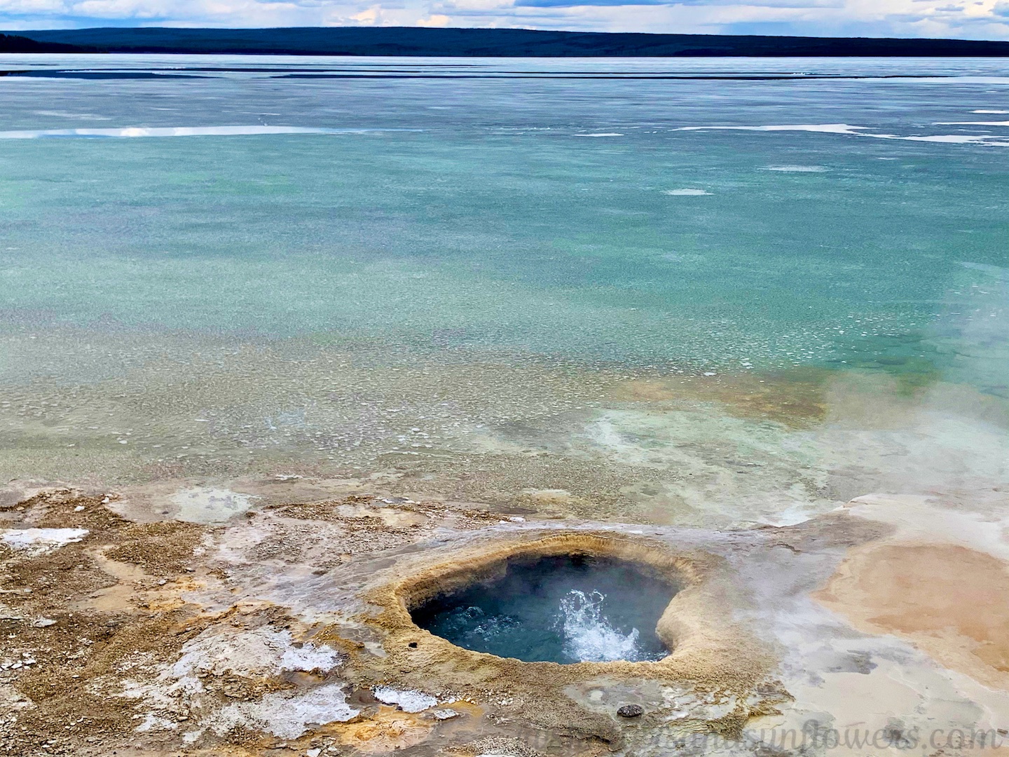 Thermal pool at West Thumb, Lake Yellowstone, Yellowstone National Park, USA
