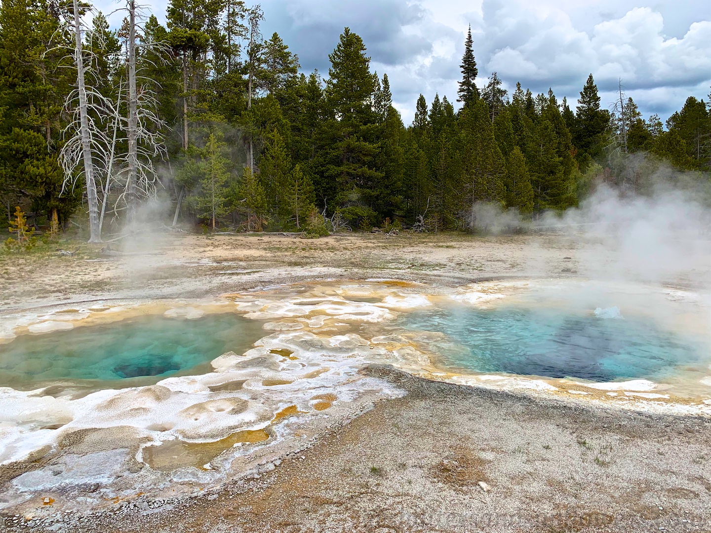 Thermal pools at Upper Basin Yellowstone National Park